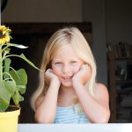 Zonnebloemen In Een Pot