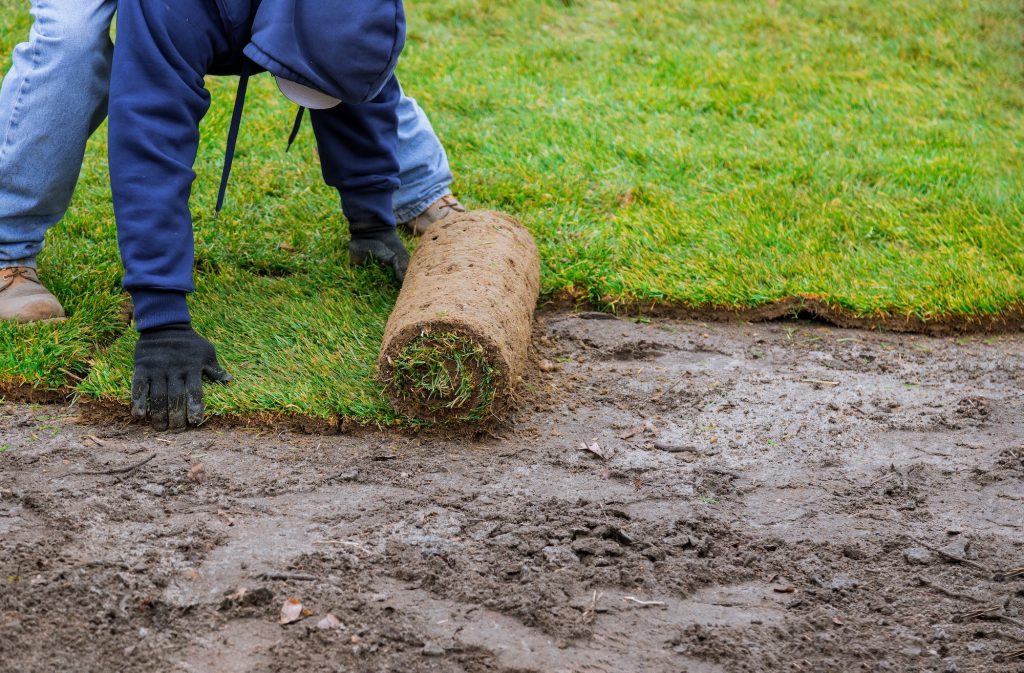 Wanneer Grasmatten Leggen