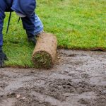 Wanneer Grasmatten Leggen