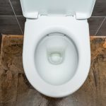 WC verstopt