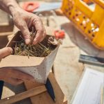 Types Schroeven en hun Toepassingen