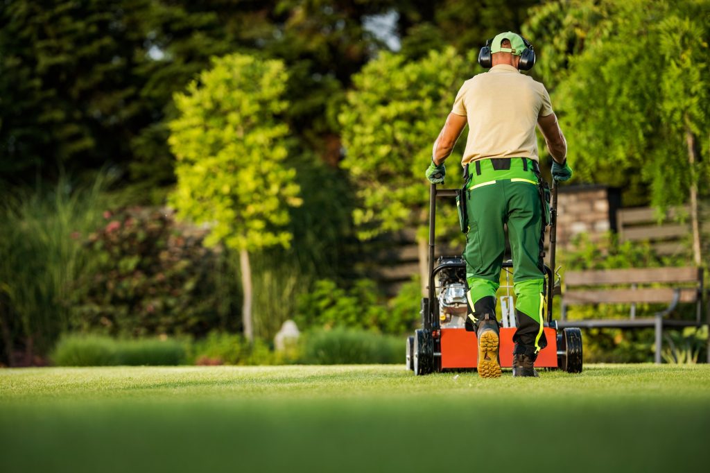 Wanneer je Gras Verticuteren