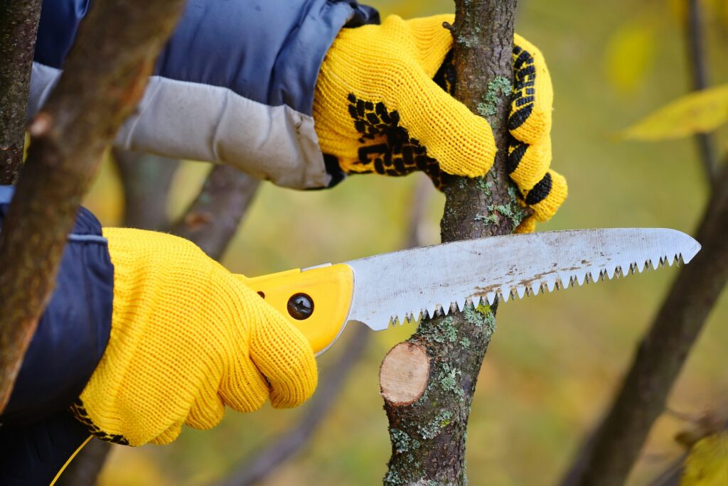 werken tuin seizoenen