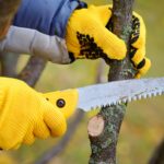 werken tuin seizoenen